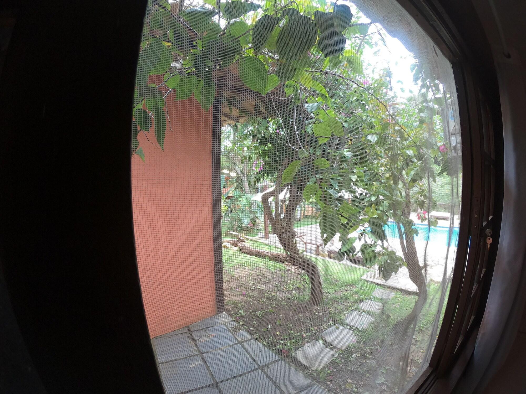 Pousada Casa Cactus Praia Da Tartaruga Buzios Ngoại thất bức ảnh